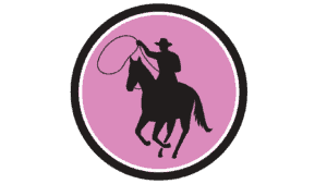 Horse, cowboy & lasso